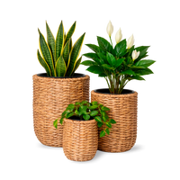 Körbchen und Blumenhalter