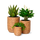 Körbchen und Blumenhalter