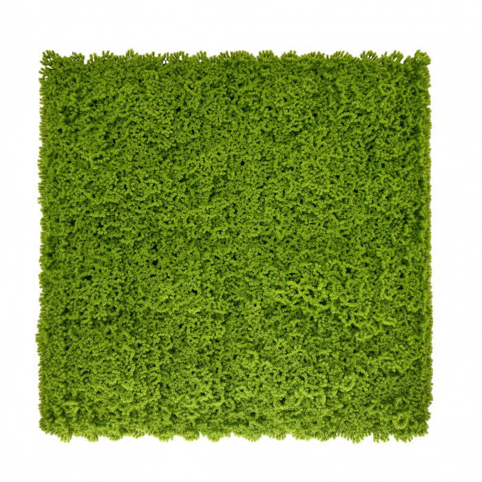 Műnövény falpanel, 50 × 50 cm-es moha zöldfal - Homelux, 5905610253776 Hauptbild