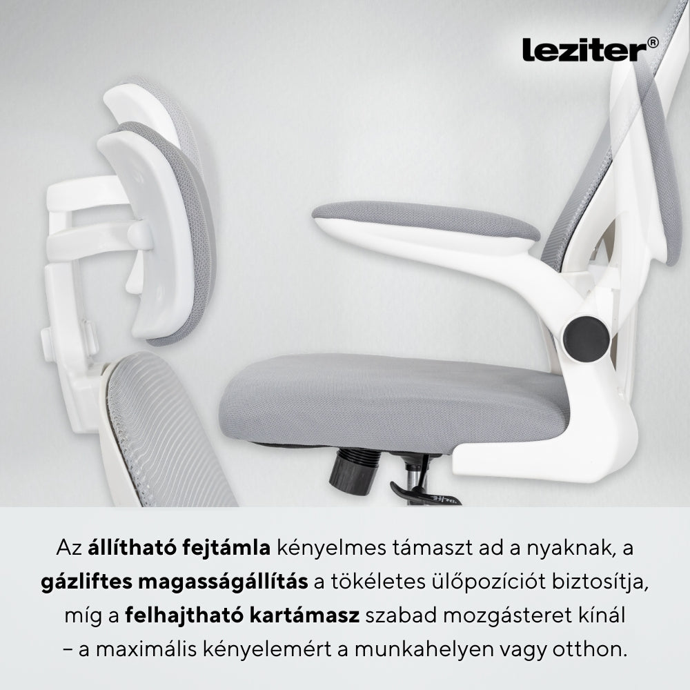 LFONEI1AST_SLO-124-6_altpic_5_hu.jpg