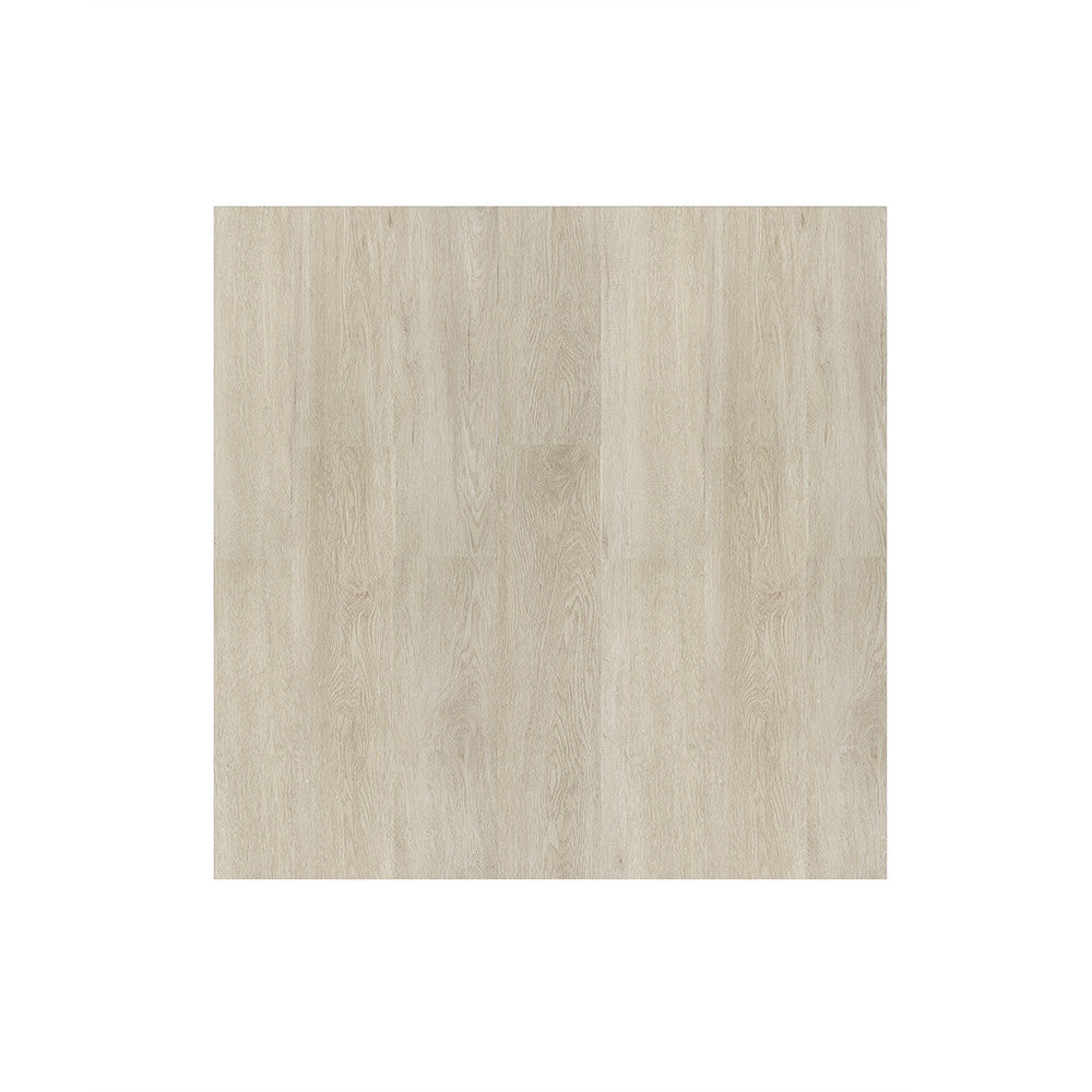 LPSPC-4-5-MCT - LPSPC-4-5-MCT.jpg Hauptbild