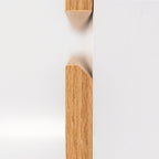 Vario111 - Vario111_altpic_6.jpg